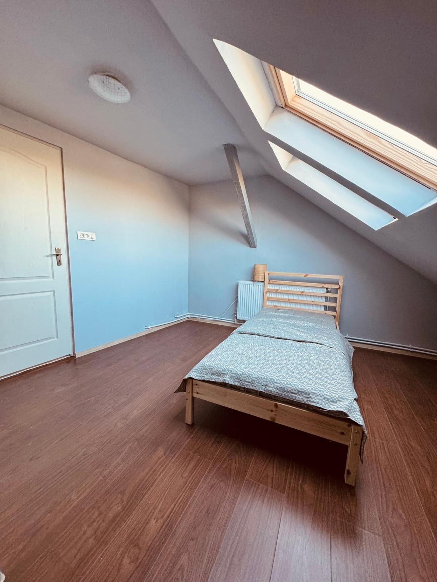 Serbian House Bed & Breakfast Timisoara Exterior photo